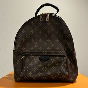 Louis Vuitton Palm Spring MM  Bag